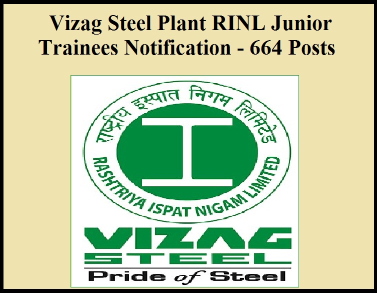 Steel ministry worried over RINL's financial viability - The Hindu  BusinessLine