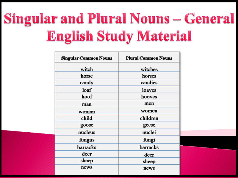 100-singular-and-plural-words-list-with-rules-chart-in-english-pdf