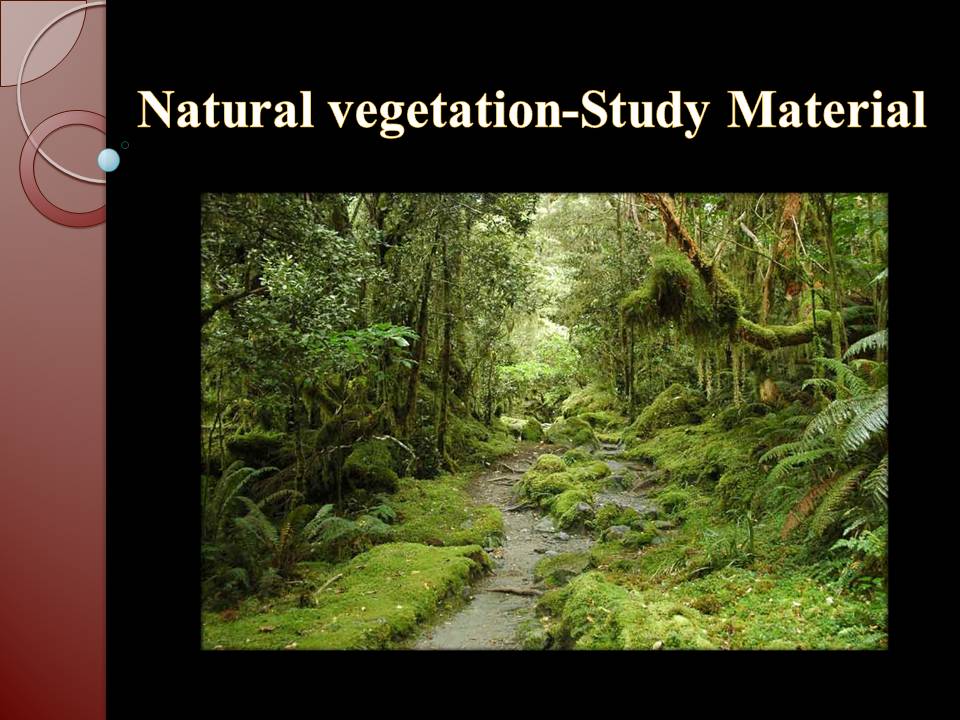 natural vegetation of india wikipedia