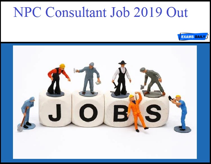 NPC Consultant Job 2019 Out - Apply Now