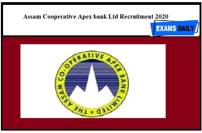 Apex Bank Recruitment Out Apply For Gm Dgm Posts