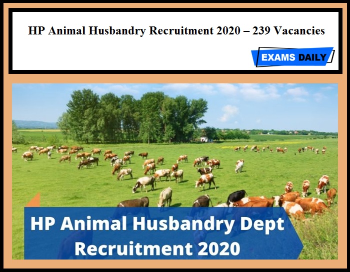 HP Animal Husbandry Recruitment 2020 Out – 239 Vacancies