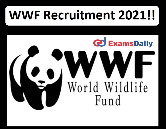 WWF Recruitment 2021