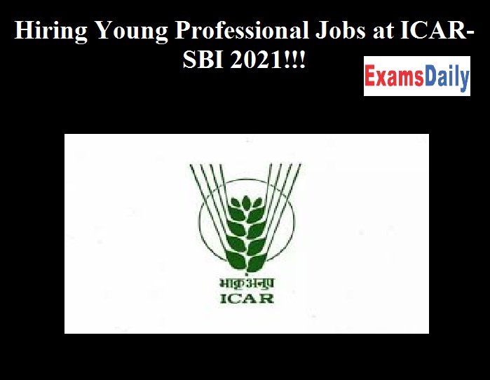 Hiring Young Professional Jobs at ICAR-SBI 2021!!! Rs.25k Salary!!!