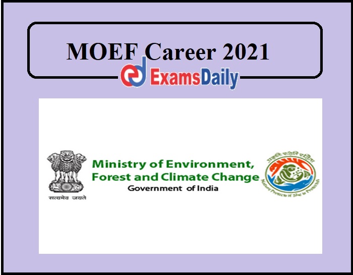 MOEF Career 2021