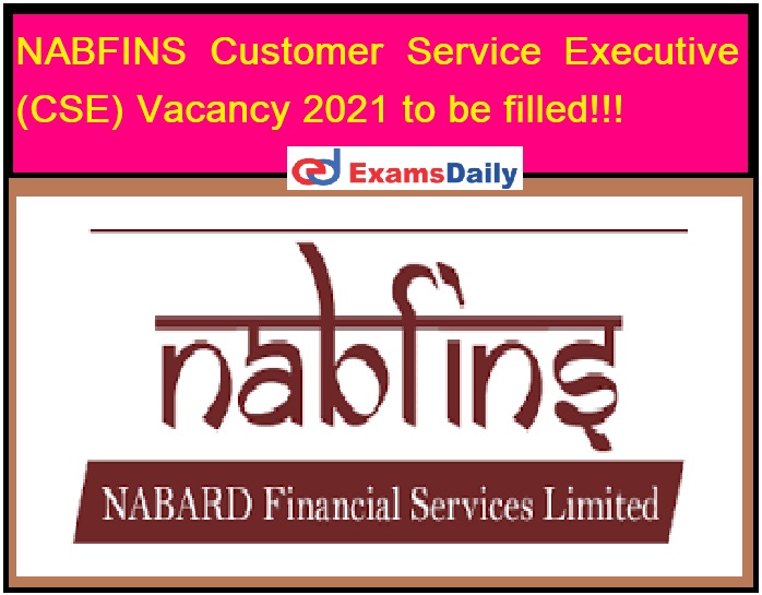NABFINS Customer Service Executive (CSE) Vacancy 2021 to be filled!!!