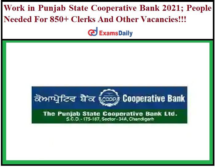 Work in Punjab State Cooperative Bank 2021_ People Needed For 850+ Clerks And Other Vacancies!!!