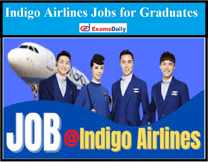 Indigo Airlines Jobs for Graduates Just Now Released – Apply Online!!!