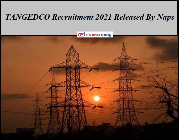 TANGEDCO Recruitment 2021 Released By Naps