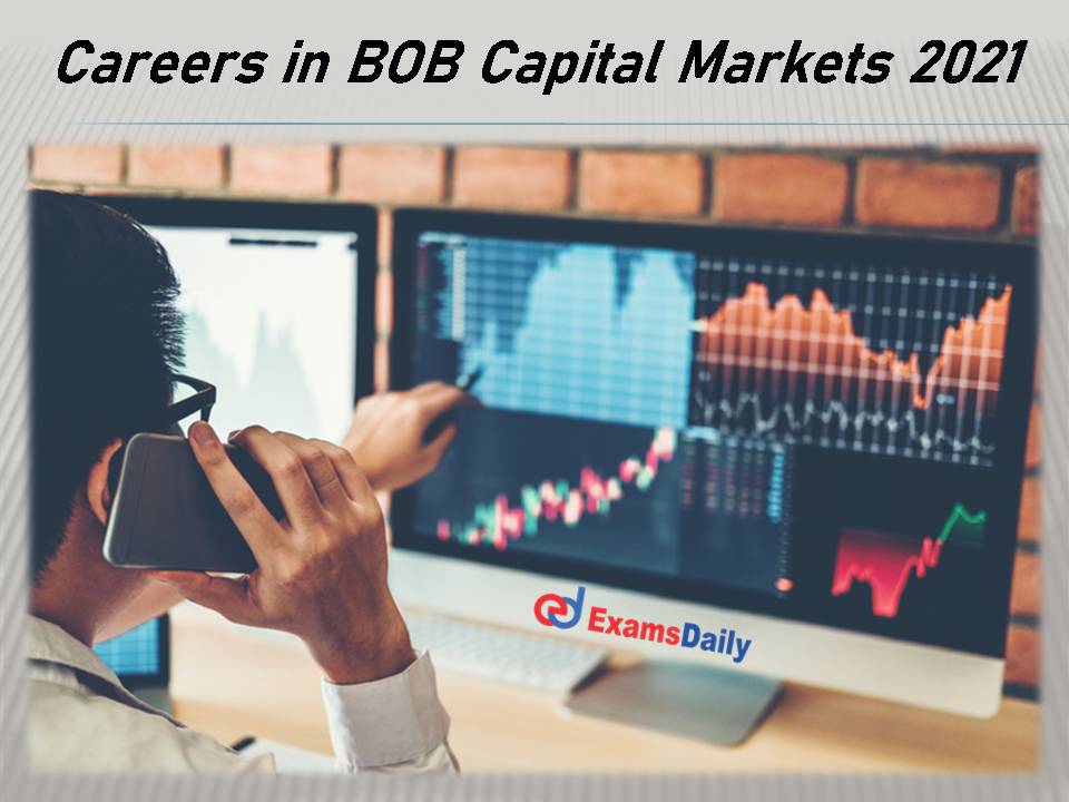 Careers For Graduates in BOB Capital Markets 2021- Few Days To Apply!!!
