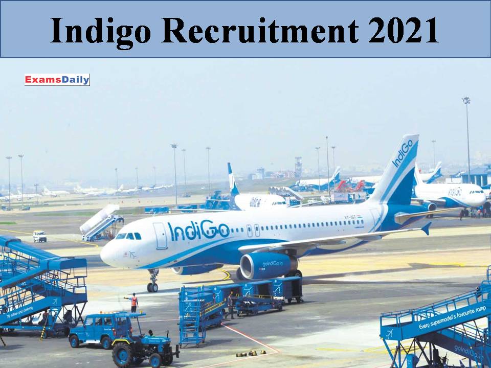 Indigo Recruitment 2021
