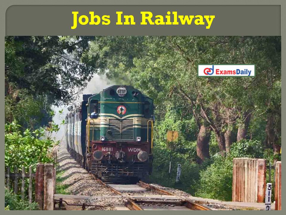 Jobs In Railway