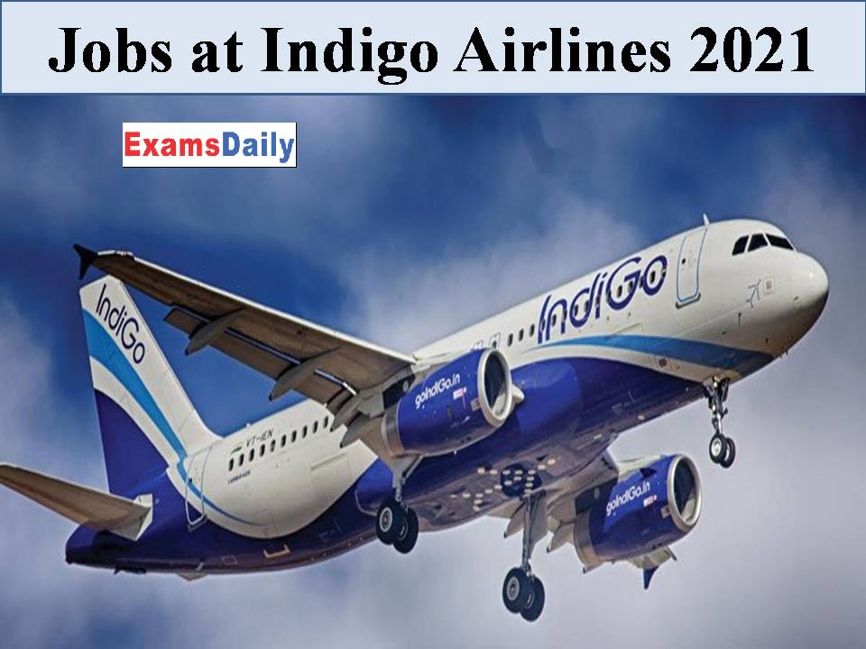 Jobs at Indigo Airlines 2021