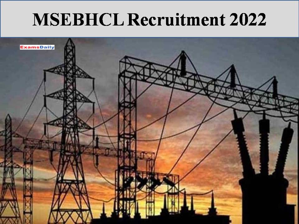MSEBHCL Recruitment 2022