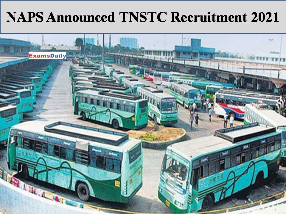 NAPS Announced TNSTC Recruitment 2021