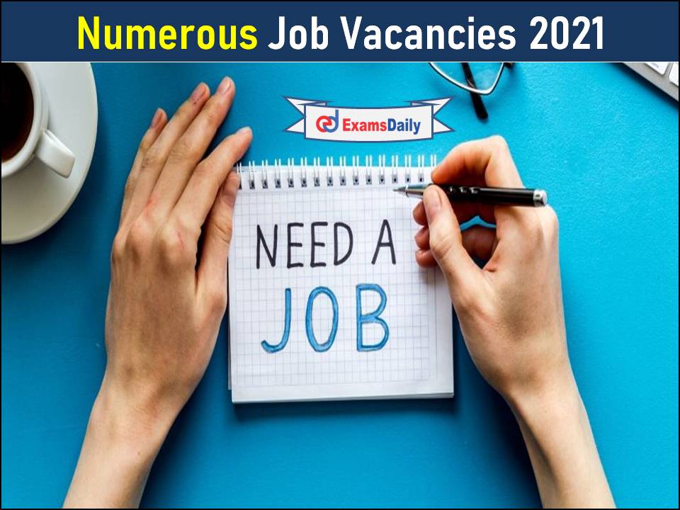 Numerous Job Vacancies For 10 Pass To Graduate Level 2021- Easy To Apply Online!!!