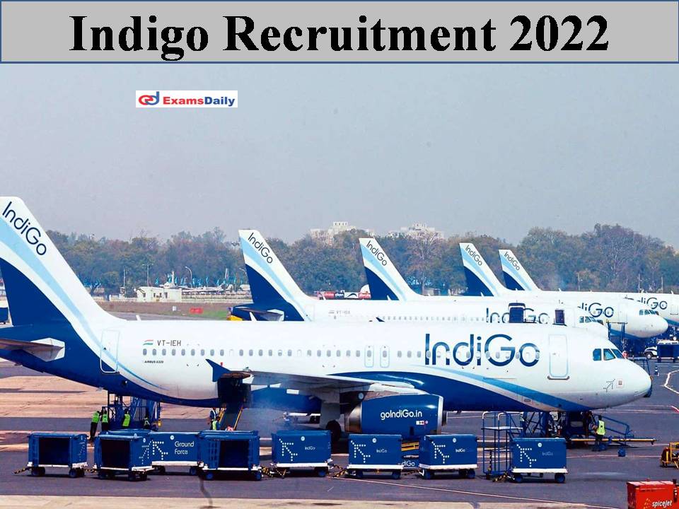 Airlines indigo IndiGo Airlines