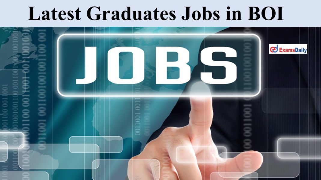 Latest Graduates Jobs in BOI