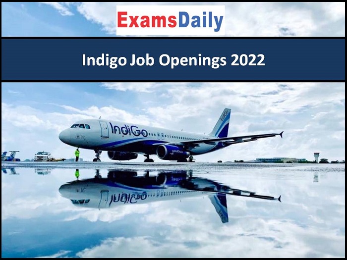 इंडिगो नौकरी के उद्घाटन में 2022