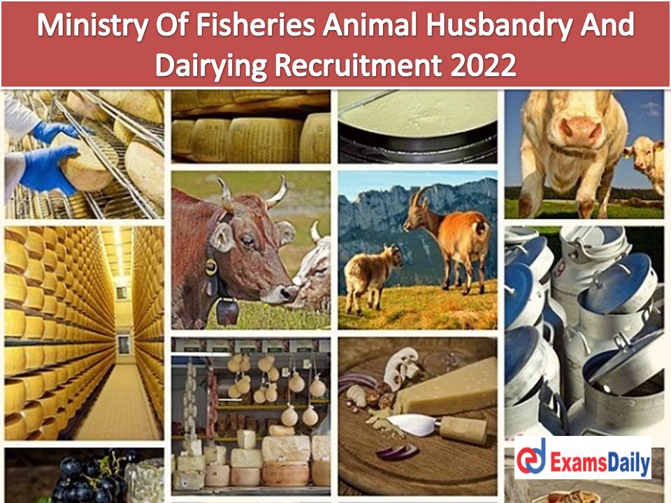 Ministry Of Fisheries Animal Husbandry And Dairying Recruitment 2022