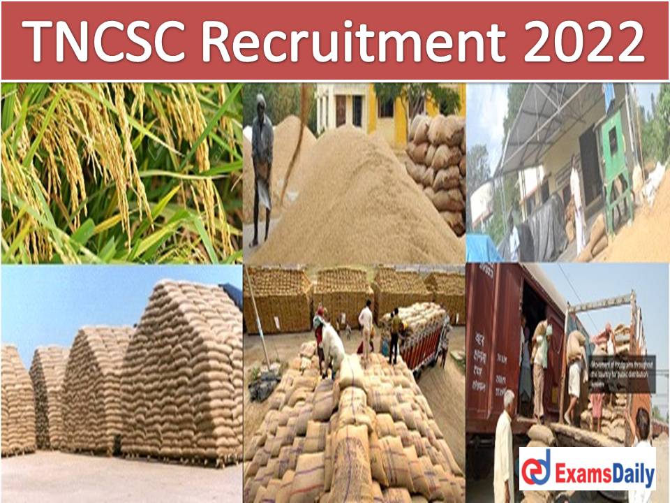 TNCSC Recruitment 2022 Notification Out – 380+ 10 12th Passed Vacancies Apply Now!!!