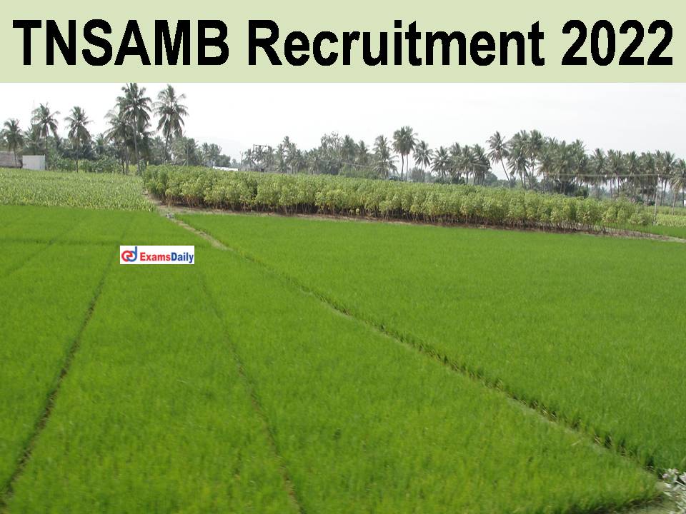 TNSAMB Recruitment 2022