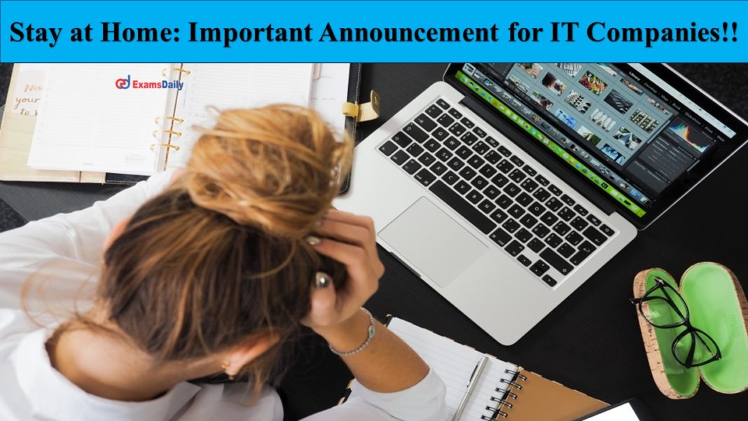 Important Announcement for IT Companies!!