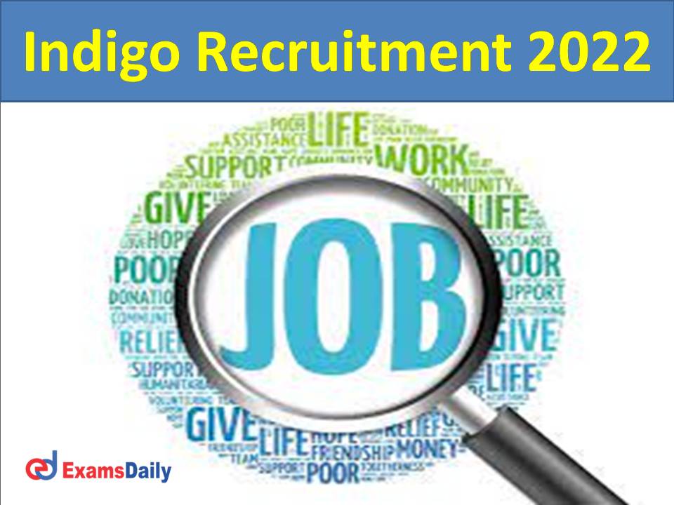 Indigo Recruitment 2022