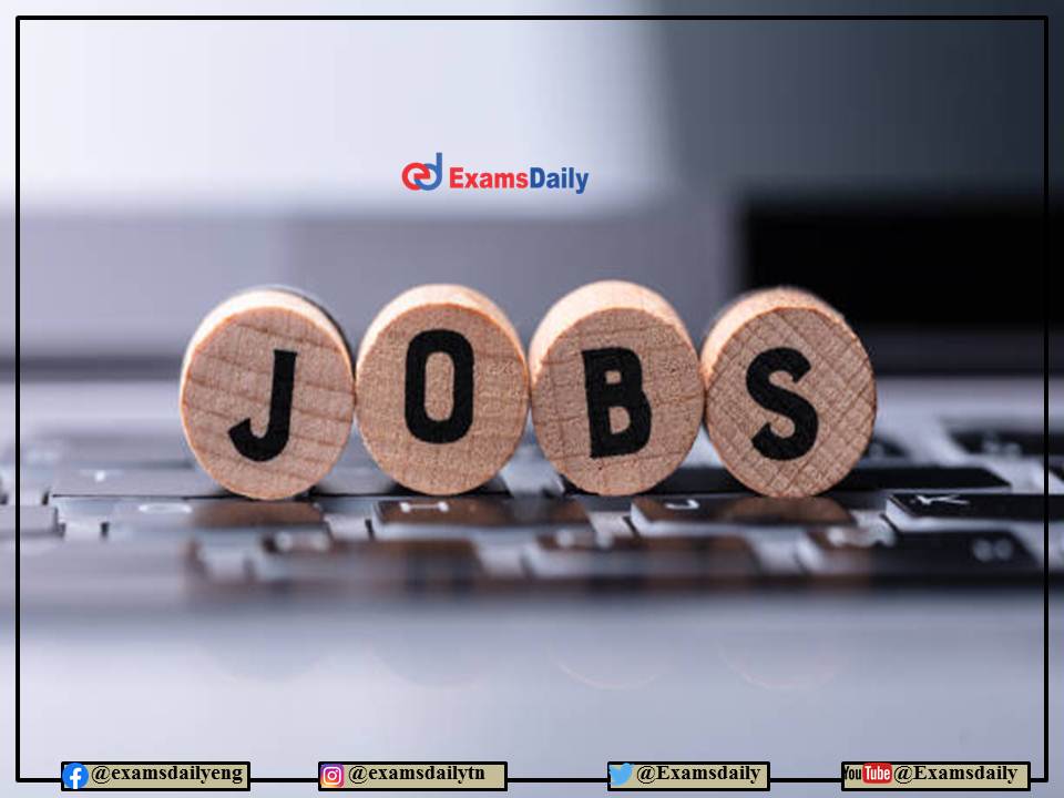 Mahindra and Mahindra Recruitment 2022 by NAPS – For 8th Pass Candidates - Apply Online!!!