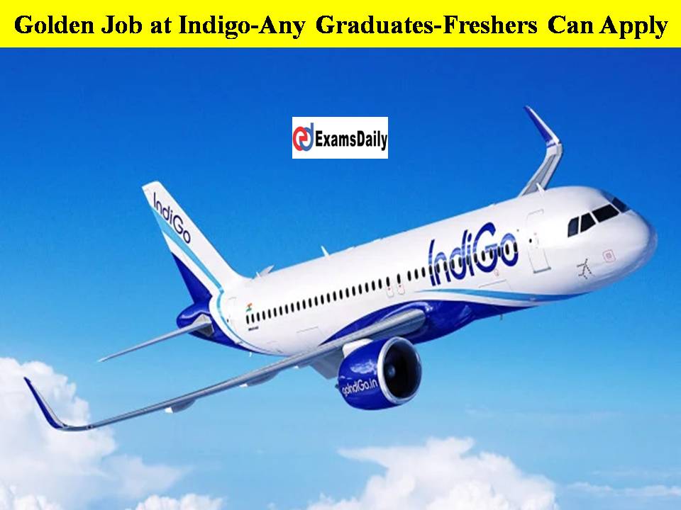 Golden Job at the Aircraft Sector Indigo-Any Graduates-Freshers Can Apply!! Apply Here to Settle in Your Life!!