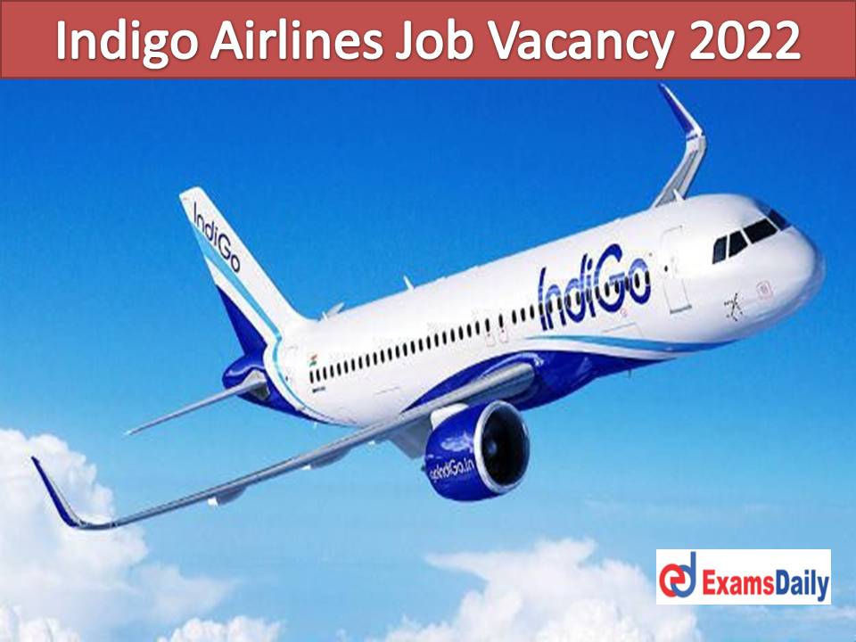 Indigo Airlines Job Vacancy 2022 Released – Graduates are Eligible | Good Communication Skills Needed!!!