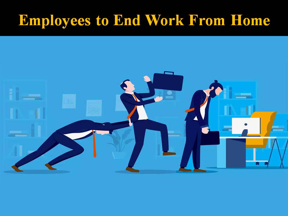 Employees to End Work From Home