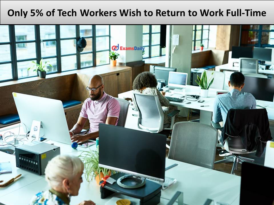 Only 5% of Tech Workers Wish to Return to Work Full-Time