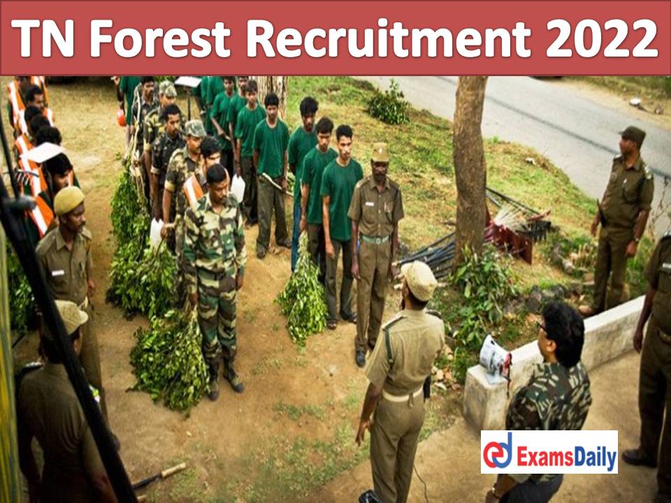 TN Forest Recruitment 2022 Out – 12th & Degree Passed is Eligible Salary up to Rs. 70000 PM!!!