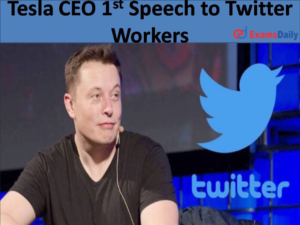 Tesla CEO 1st Speech to Twitter Workers