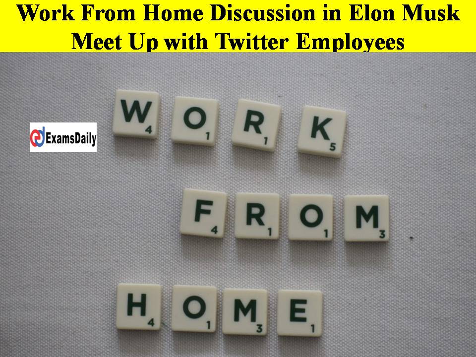 Work From Home Discussion in Elon Musk Meet Up with Twitter Employees!!