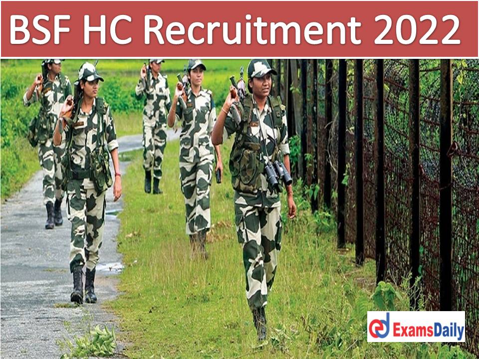 BSF HC Recruitment 2022 Out – More Than 300+ Head Constable and ASI Steno Vacancies!!!