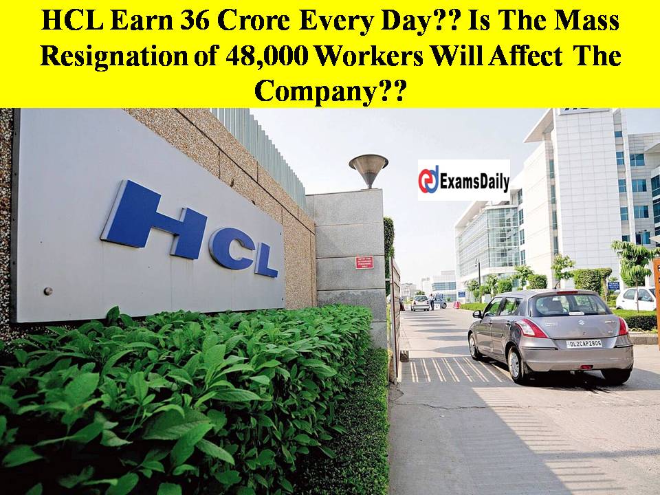 HCL Earn 36 Crore Every Day Is The Mass Resignation of 48,000 Workers Will Affect The Company