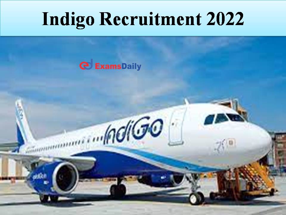 Indigo Recruitment 2022