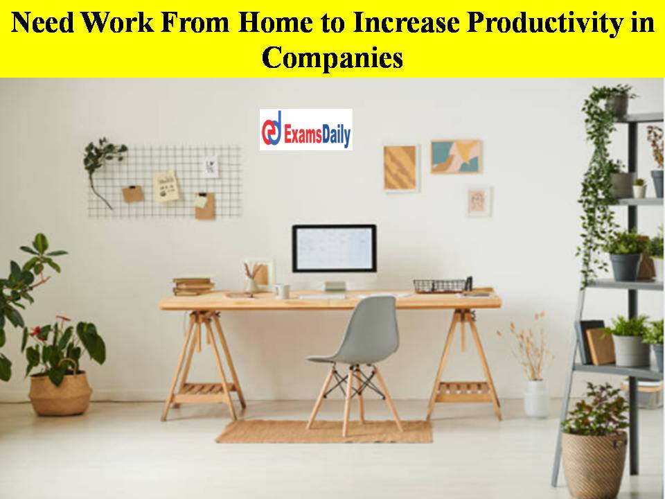 Need Work From Home to Increase Productivity in Companies!!