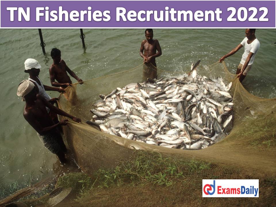 TN Fisheries Recruitment 2022 Out – More Than 400 Vacancies Bachelor Degree is Needed!!!