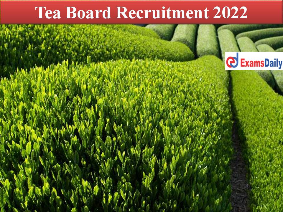 Tea Board Recruitment 2022