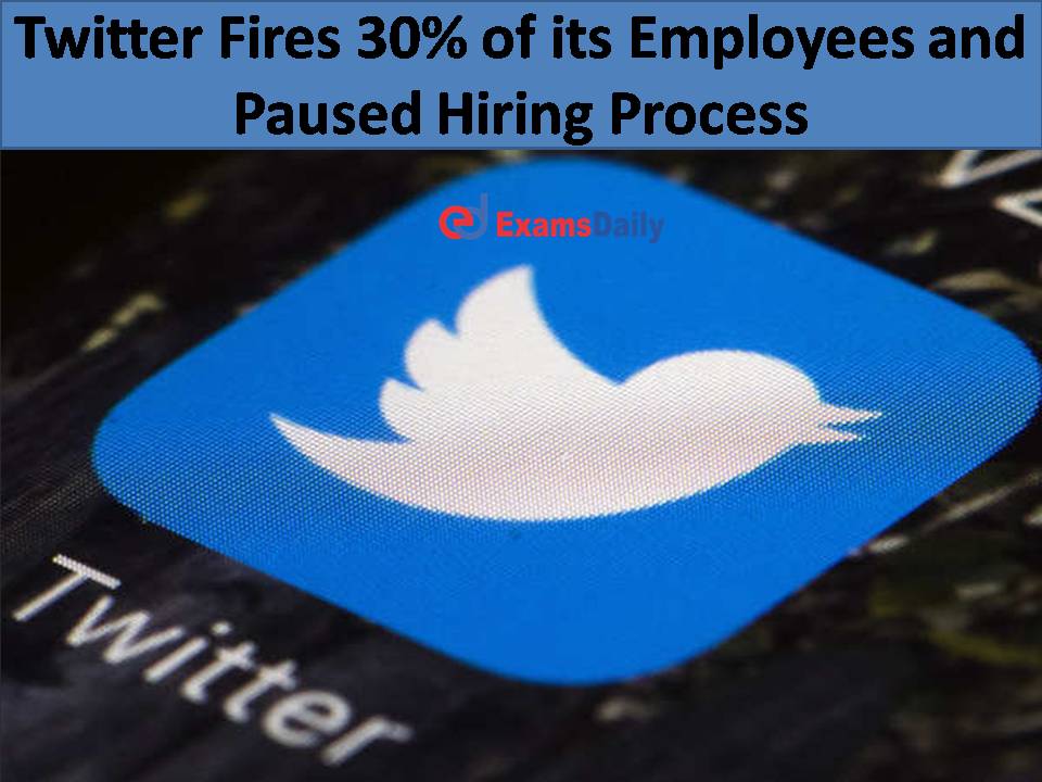 Twitter Fires 30% of its Employees and Paused Hiring Process