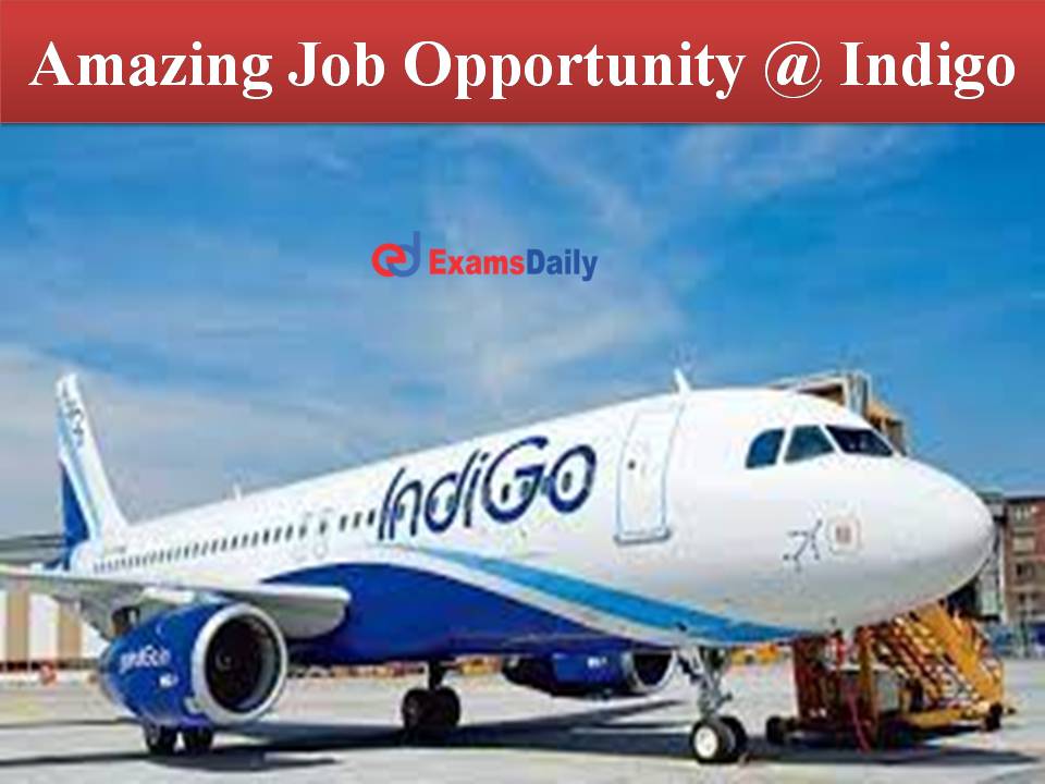 Amazing Job Opportunity @ Indigo