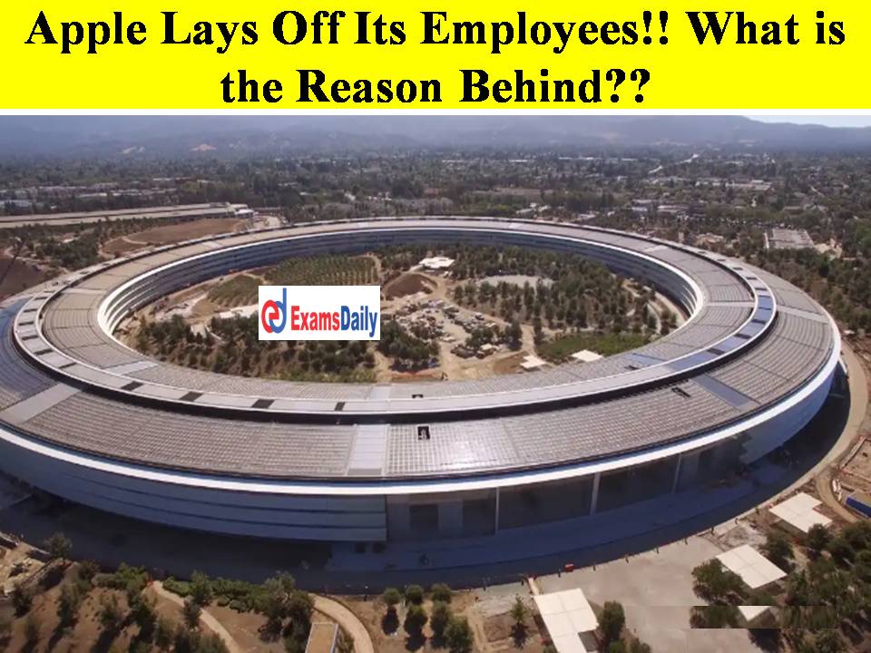 Apple Lays Off Its Employees!! What is the Reason Behind