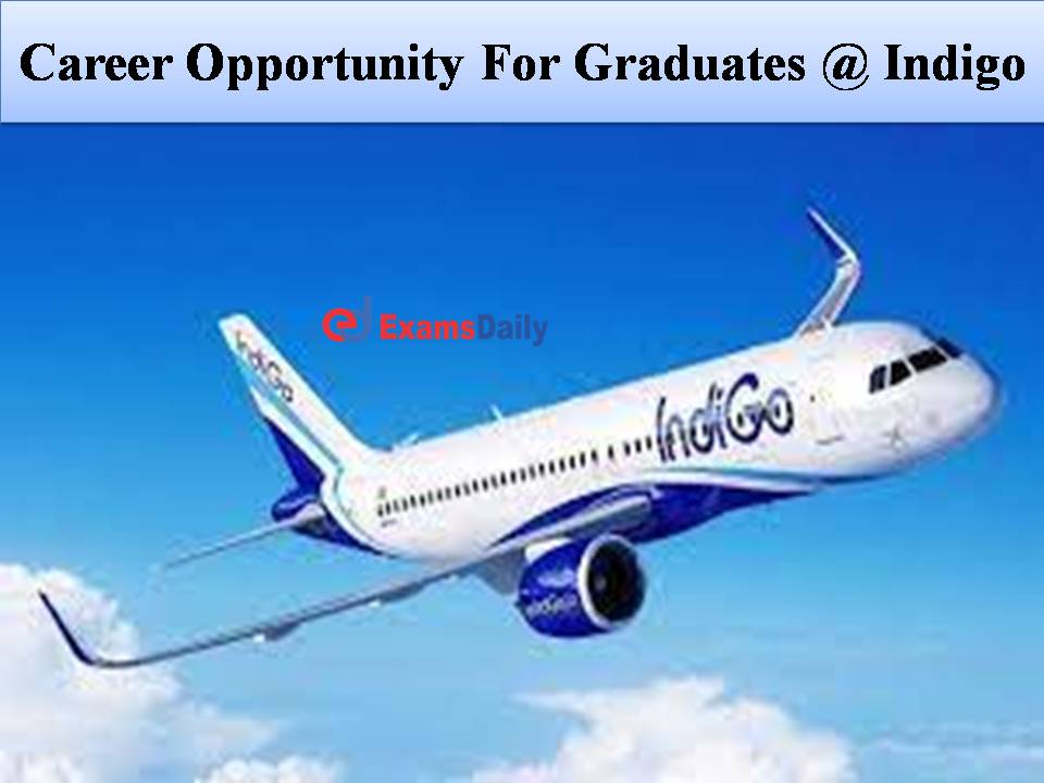 Career Opportunity For Graduates @ Indigo