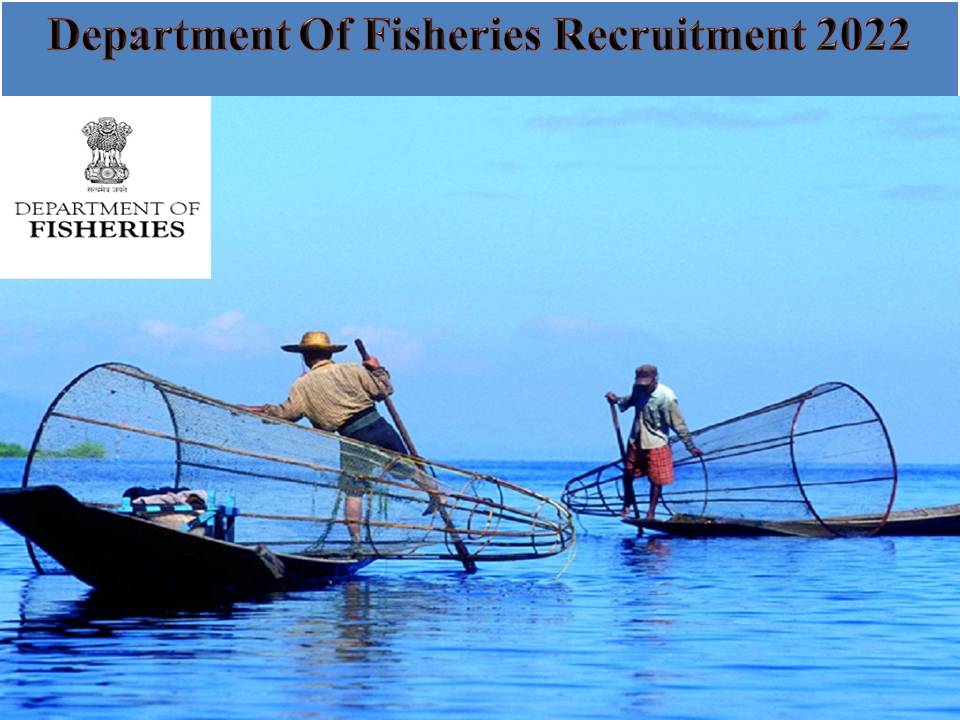 Department Of Fisheries Recruitment 2022