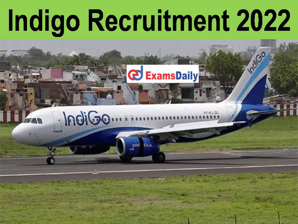 Indigo Recruitment 2022 OUT - Graduates Required | Apply online!!!