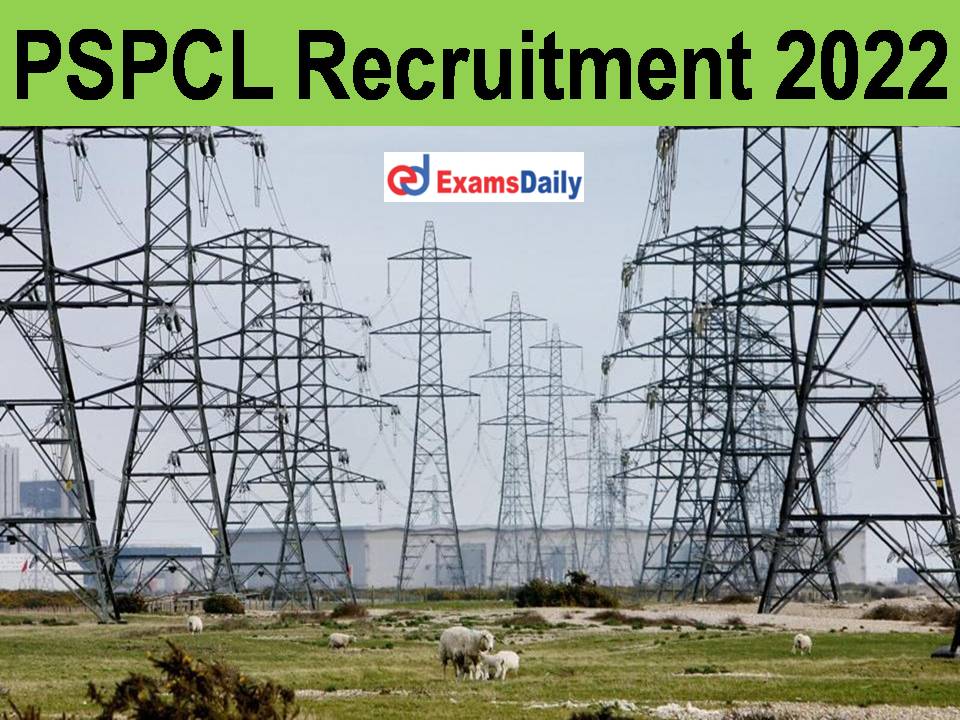 PSPCL Recruitment 2022: More Than 1600+ Vacancies | 10th Pass Can Apply Before Last Date!!!