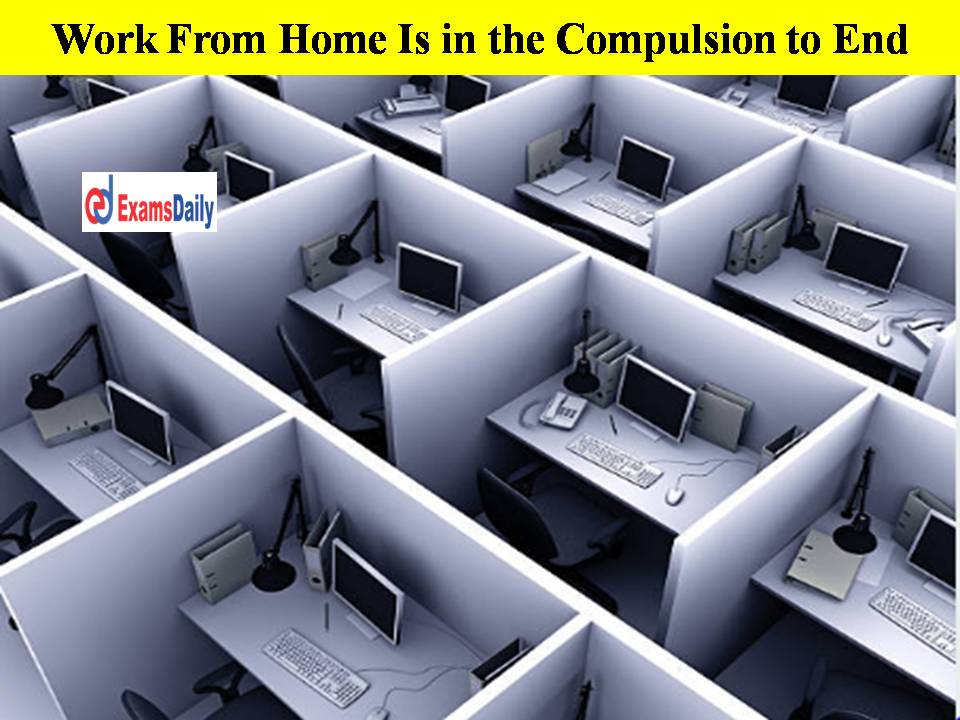 Work From Home Is in the Compulsion to End!! Companies Urge to Work At Empty Offices!!